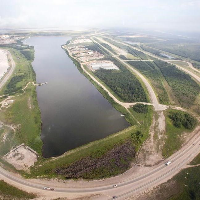 Dead birds found at Suncor oilsands tailings ponds sites